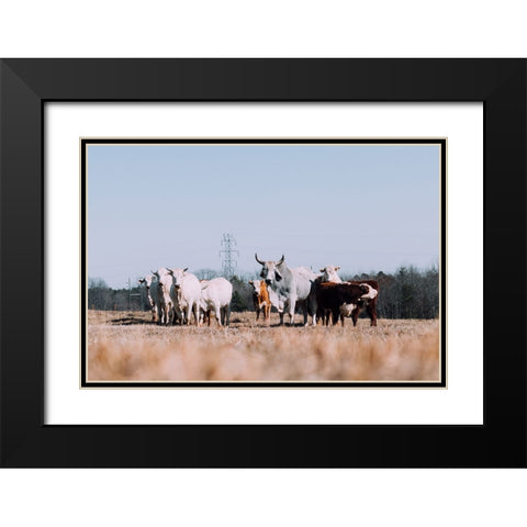 Drawing a Crowd Re-edit Black Modern Wood Framed Art Print with Double Matting by Malone, Will