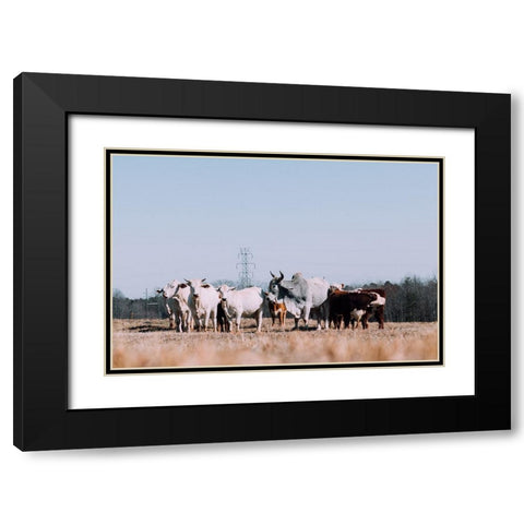 Drawing a Crowd 2 Re-edit Black Modern Wood Framed Art Print with Double Matting by Malone, Will