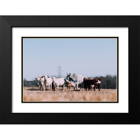 Drawing a Crowd 2 Re-edit Black Modern Wood Framed Art Print with Double Matting by Malone, Will
