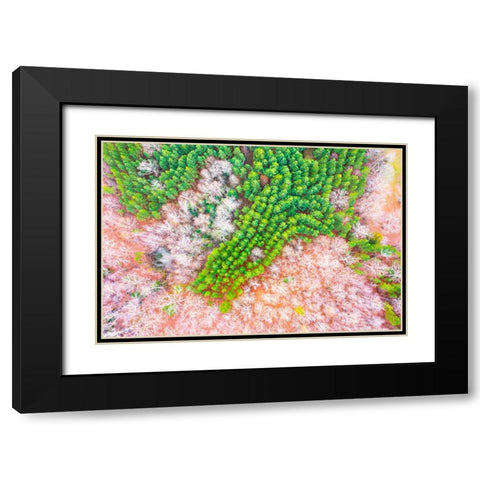 Green Splotch Black Modern Wood Framed Art Print with Double Matting by Malone, Will