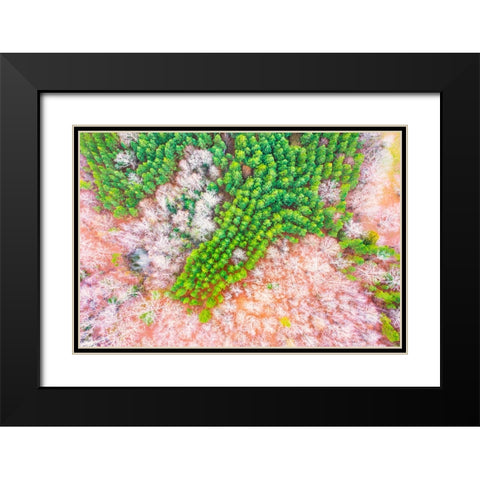 Green Splotch Black Modern Wood Framed Art Print with Double Matting by Malone, Will