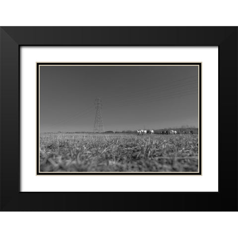 Here They Come Black Modern Wood Framed Art Print with Double Matting by Malone, Will