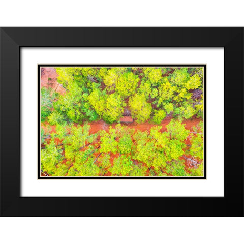 Hunting Shed Black Modern Wood Framed Art Print with Double Matting by Malone, Will