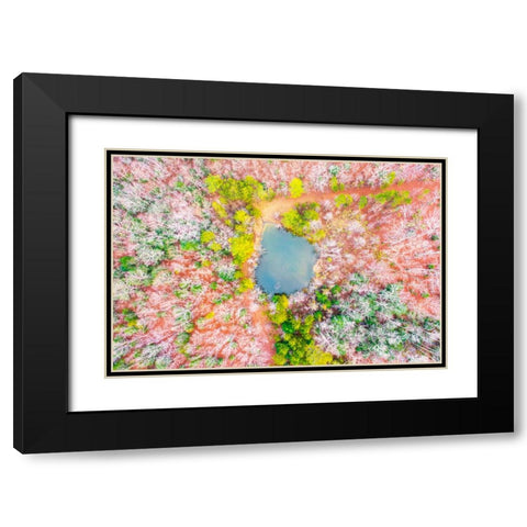Pond in the Woods  Black Modern Wood Framed Art Print with Double Matting by Malone, Will