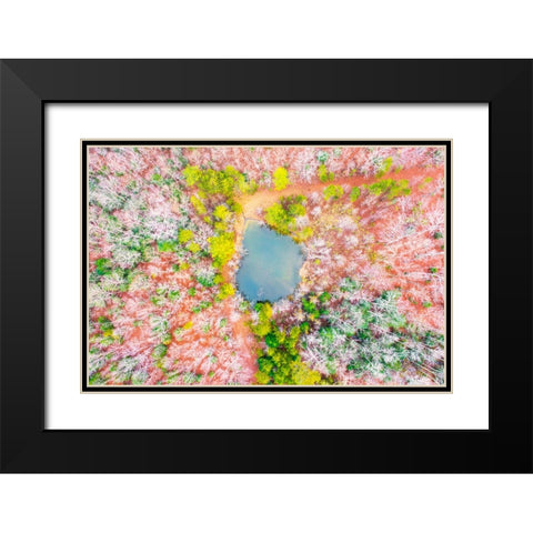 Pond in the Woods  Black Modern Wood Framed Art Print with Double Matting by Malone, Will