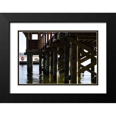 Salty Dog Black Modern Wood Framed Art Print with Double Matting by Malone, Will