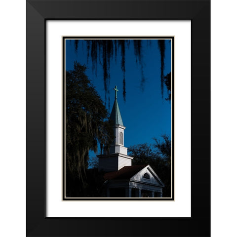 Spanish Moss Steeple Black Modern Wood Framed Art Print with Double Matting by Malone, Will
