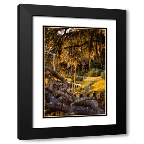 Sunset Spectator Black Modern Wood Framed Art Print with Double Matting by Malone, Will