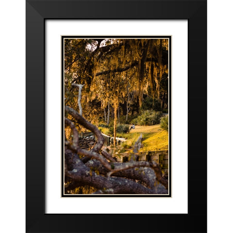 Sunset Spectator Black Modern Wood Framed Art Print with Double Matting by Malone, Will