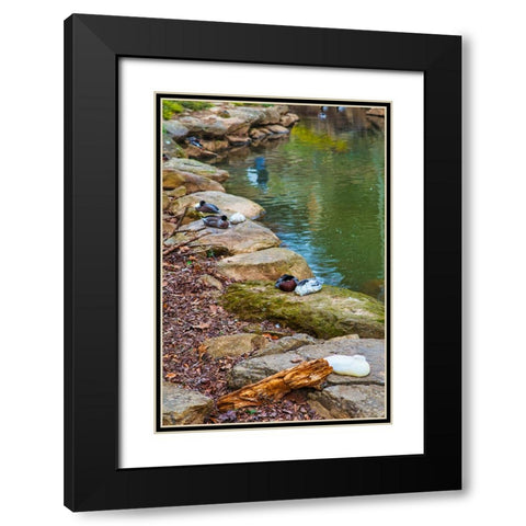 Asleep Black Modern Wood Framed Art Print with Double Matting by Malone, Will