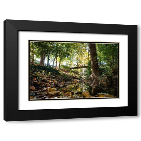 Fall Bridge Black Modern Wood Framed Art Print with Double Matting by Malone, Will