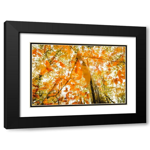 Fall Double Black Modern Wood Framed Art Print with Double Matting by Malone, Will