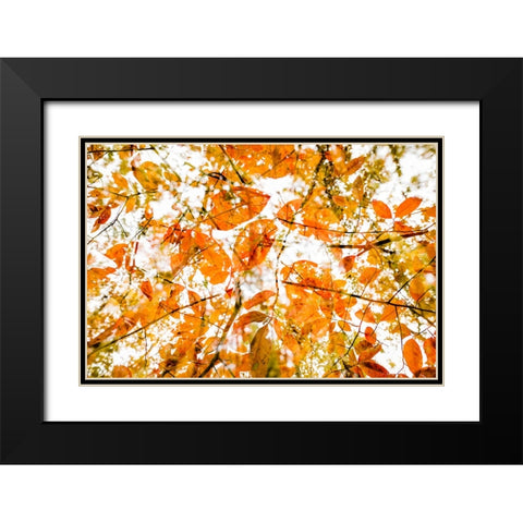 Fall Double 2 Black Modern Wood Framed Art Print with Double Matting by Malone, Will
