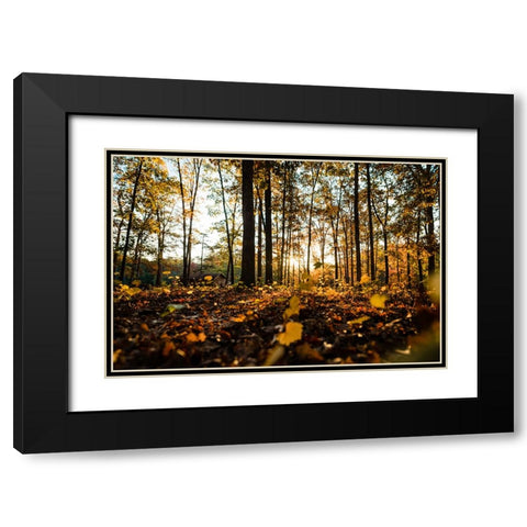Fall Morning  Black Modern Wood Framed Art Print with Double Matting by Malone, Will