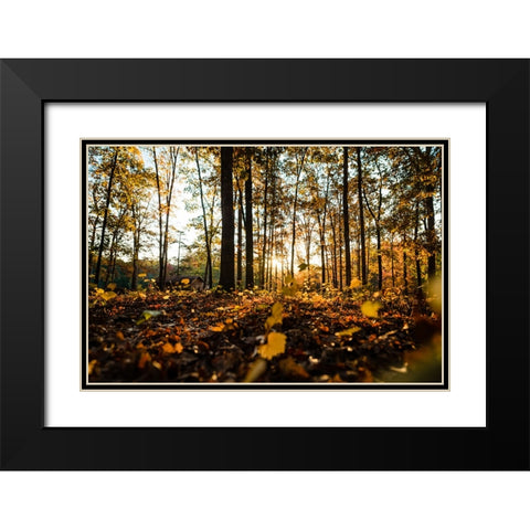 Fall Morning  Black Modern Wood Framed Art Print with Double Matting by Malone, Will