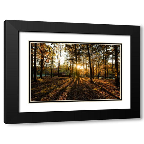 Fall Morning 2 Black Modern Wood Framed Art Print with Double Matting by Malone, Will