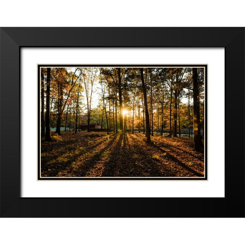 Fall Morning 2 Black Modern Wood Framed Art Print with Double Matting by Malone, Will