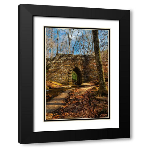 Poinsett Bridge Black Modern Wood Framed Art Print with Double Matting by Malone, Will