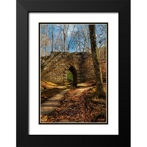 Poinsett Bridge Black Modern Wood Framed Art Print with Double Matting by Malone, Will