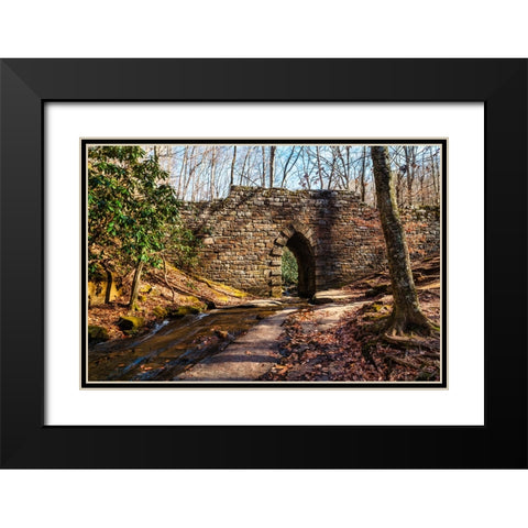 Poinsett Bridge 2 Black Modern Wood Framed Art Print with Double Matting by Malone, Will