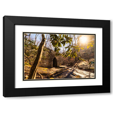 Poinsett Bridge 3 Black Modern Wood Framed Art Print with Double Matting by Malone, Will