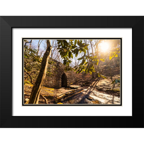 Poinsett Bridge 3 Black Modern Wood Framed Art Print with Double Matting by Malone, Will