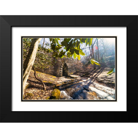 Poinsett Bridge 4 Black Modern Wood Framed Art Print with Double Matting by Malone, Will