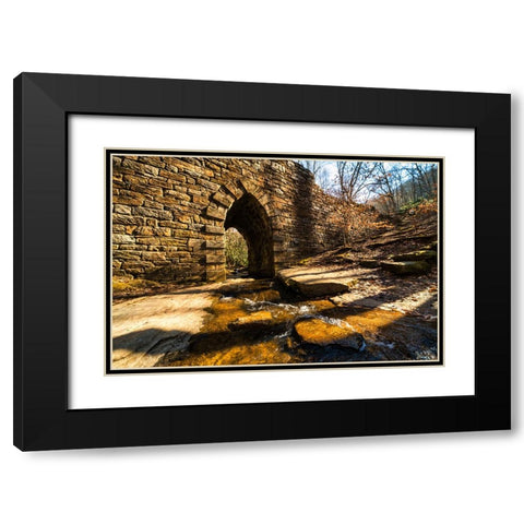 Poinsett Bridge 5 Black Modern Wood Framed Art Print with Double Matting by Malone, Will