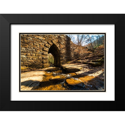 Poinsett Bridge 5 Black Modern Wood Framed Art Print with Double Matting by Malone, Will