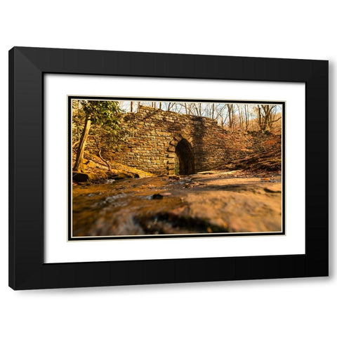 Poinsett Bridge 6 Black Modern Wood Framed Art Print with Double Matting by Malone, Will