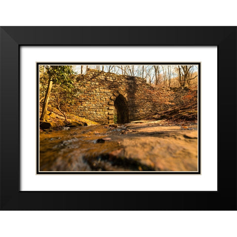 Poinsett Bridge 6 Black Modern Wood Framed Art Print with Double Matting by Malone, Will
