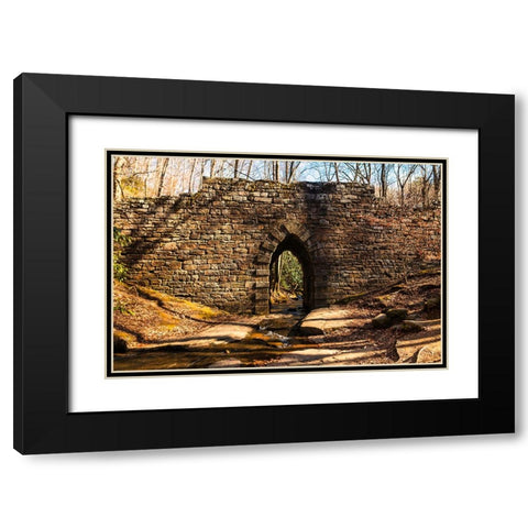 Poinsett Bridge 7 Black Modern Wood Framed Art Print with Double Matting by Malone, Will