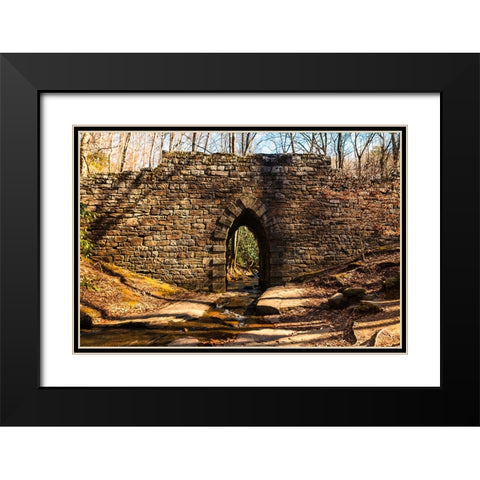 Poinsett Bridge 7 Black Modern Wood Framed Art Print with Double Matting by Malone, Will