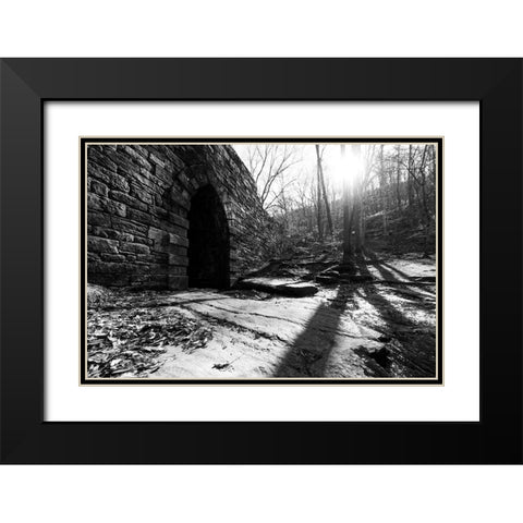 Poinsett Bridge 8 Black Modern Wood Framed Art Print with Double Matting by Malone, Will