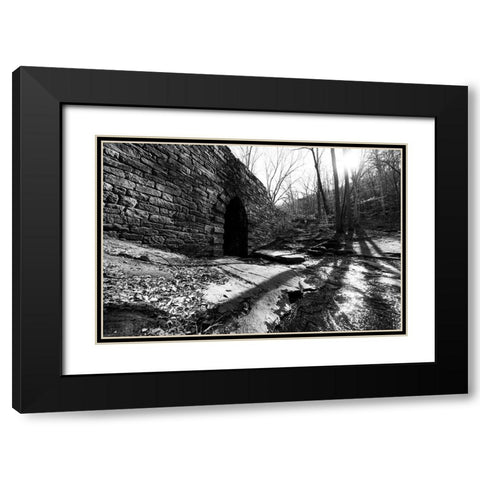 Poinsett Bridge 9 Black Modern Wood Framed Art Print with Double Matting by Malone, Will