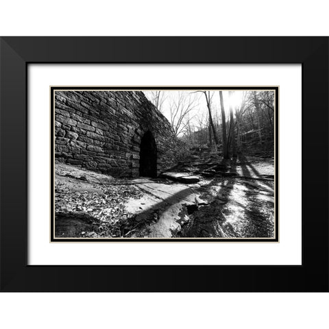 Poinsett Bridge 9 Black Modern Wood Framed Art Print with Double Matting by Malone, Will