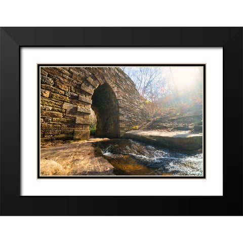 Poinsett Bridge 10 Black Modern Wood Framed Art Print with Double Matting by Malone, Will