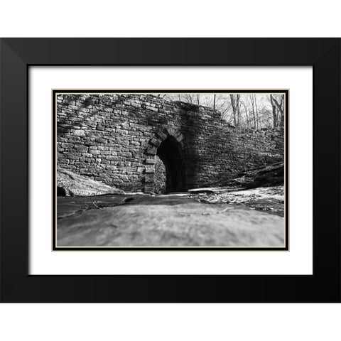 Poinsett Bridge 6 BW Black Modern Wood Framed Art Print with Double Matting by Malone, Will