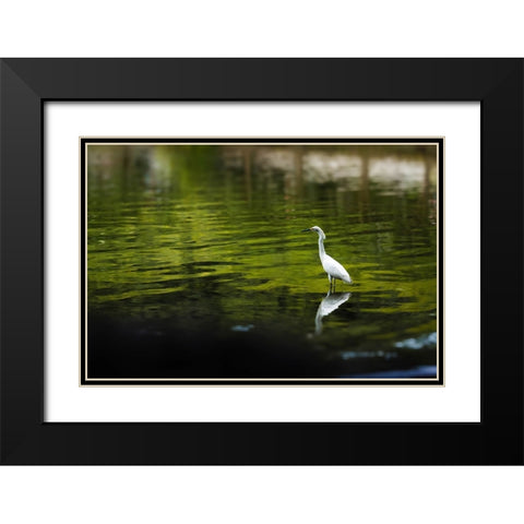 Reflection Black Modern Wood Framed Art Print with Double Matting by Malone, Will