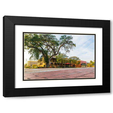 City Hall Black Modern Wood Framed Art Print with Double Matting by Malone, Will