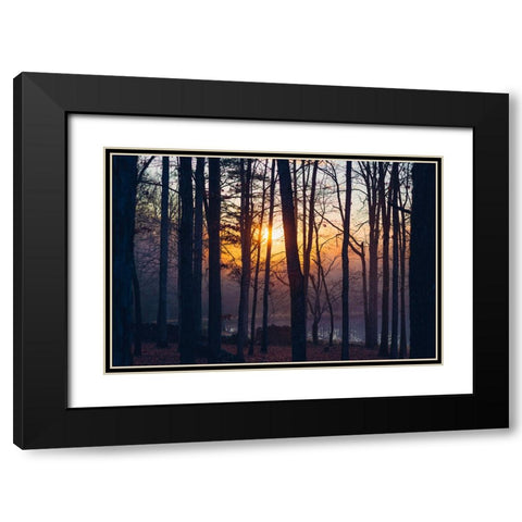 Foggy Sunrise Black Modern Wood Framed Art Print with Double Matting by Malone, Will