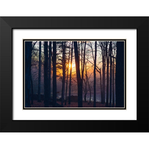 Foggy Sunrise Black Modern Wood Framed Art Print with Double Matting by Malone, Will