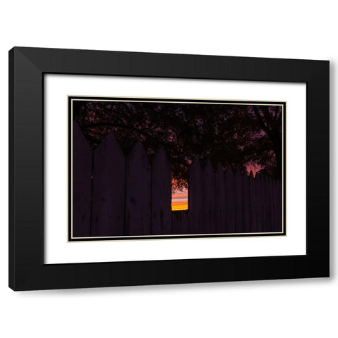 Backyard Sun 2 Black Modern Wood Framed Art Print with Double Matting by Malone, Will