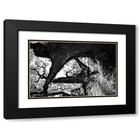 bigoakbw Black Modern Wood Framed Art Print with Double Matting by Malone, Will