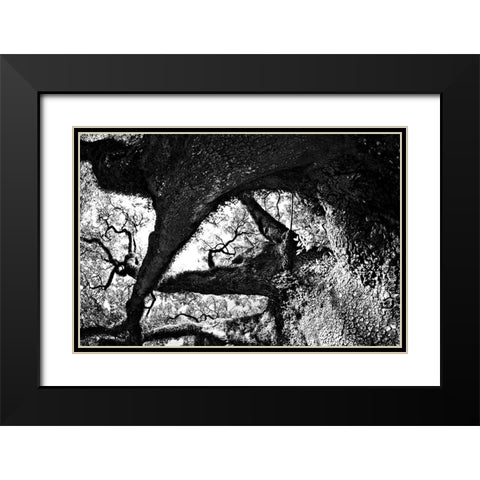 bigoakbw Black Modern Wood Framed Art Print with Double Matting by Malone, Will