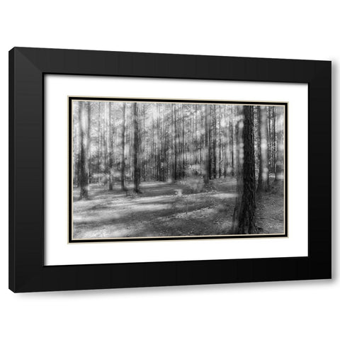 Blurry Forest 2 BW Black Modern Wood Framed Art Print with Double Matting by Malone, Will