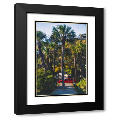 Camaro Palm Black Modern Wood Framed Art Print with Double Matting by Malone, Will