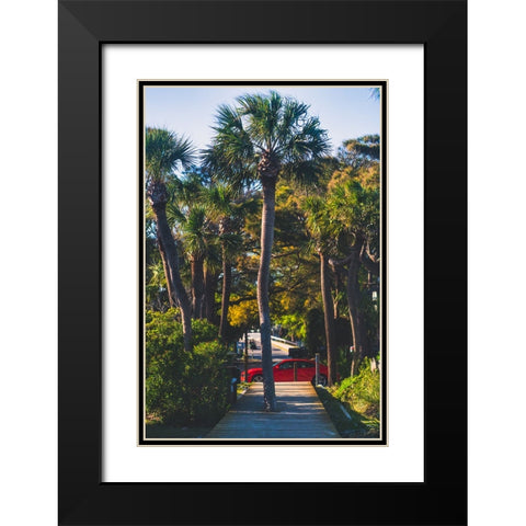 Camaro Palm Black Modern Wood Framed Art Print with Double Matting by Malone, Will