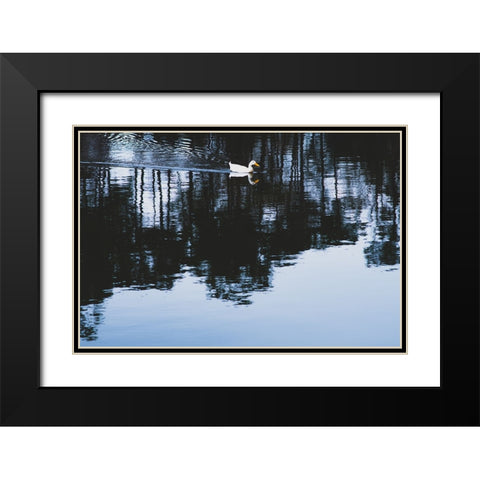 Cherokee Lake Duck Black Modern Wood Framed Art Print with Double Matting by Malone, Will