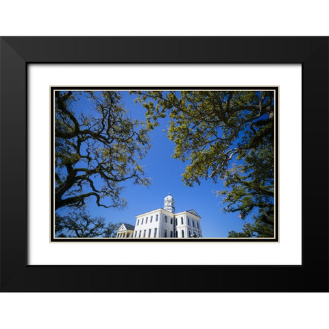 Courthouse 5 Black Modern Wood Framed Art Print with Double Matting by Malone, Will